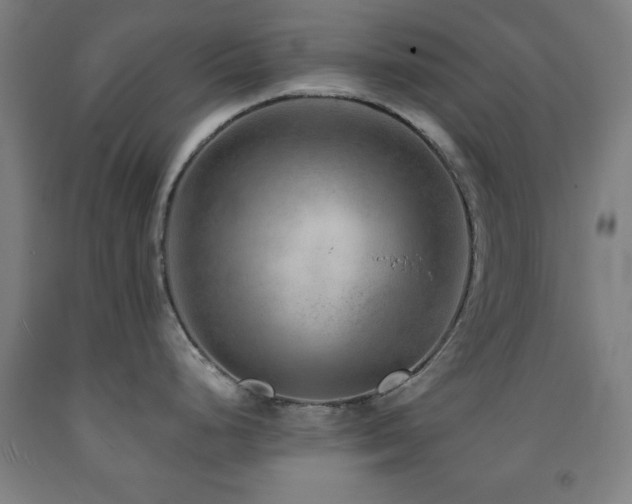 X0000093261248200709261725