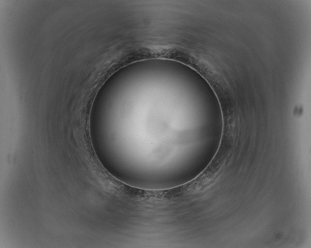 X0000093261249200709261724