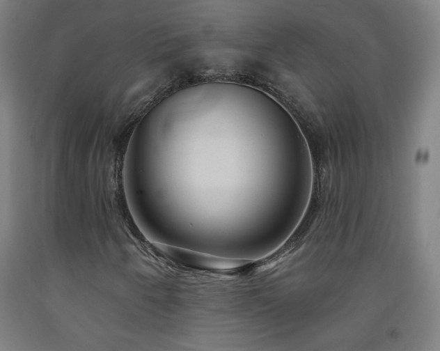 X0000093261250200709261724
