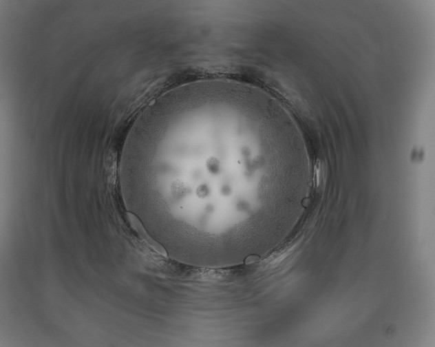 X0000093261251200709261724