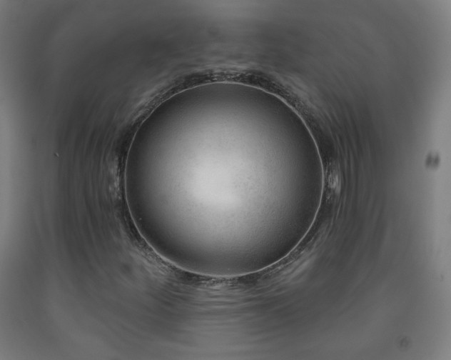 X0000093261252200709261724