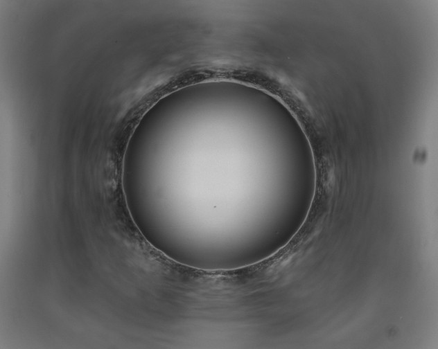 X0000093261253200709261724