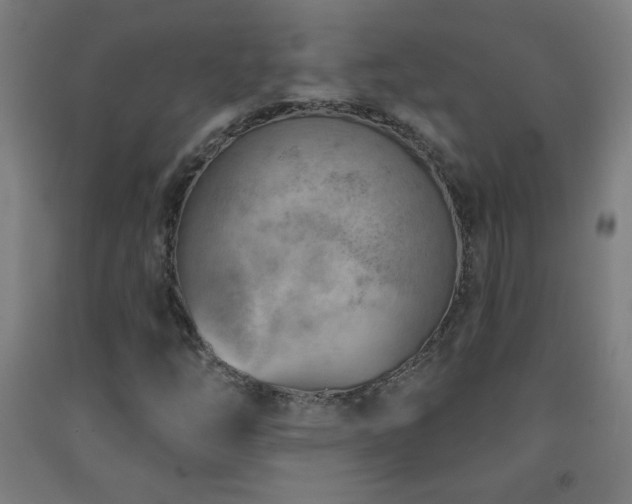 X0000093261254200709261724
