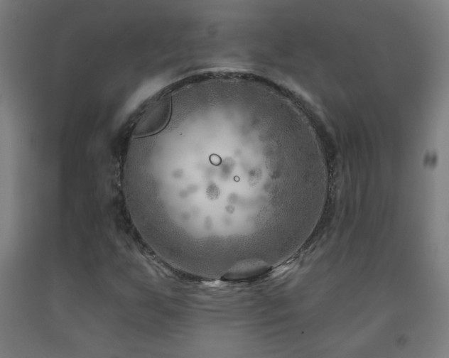X0000093261255200709261724