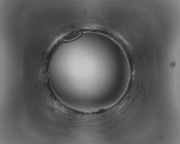 X0000093261256200709261724