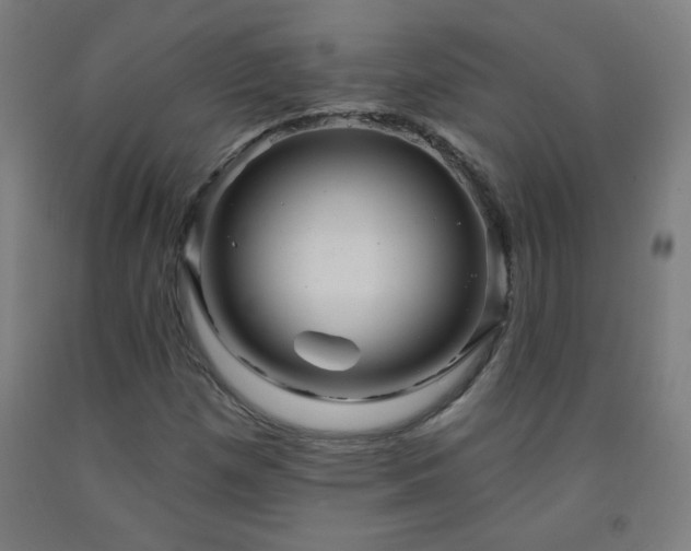 X0000093261257200709261724