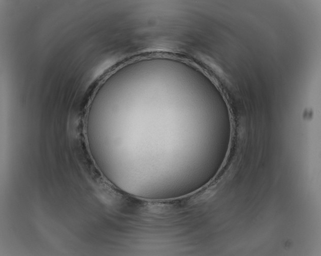 X0000093261258200709261724