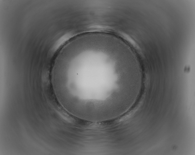 X0000093261259200709261724