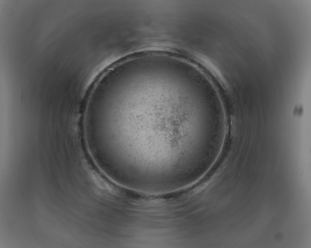 X0000093261260200709261724