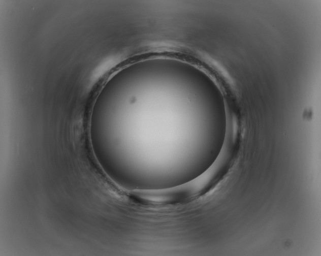 X0000093261261200709261724