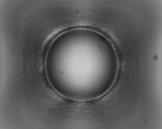 X0000093261262200709261724