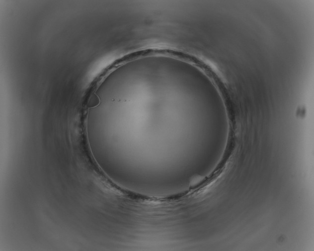 X0000093261263200709261724