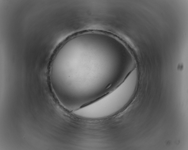 X0000093261264200709261724