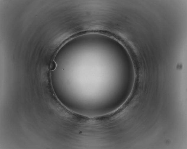 X0000093261265200709261724