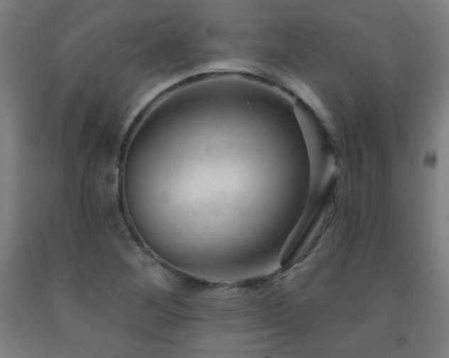 X0000093261268200709261724