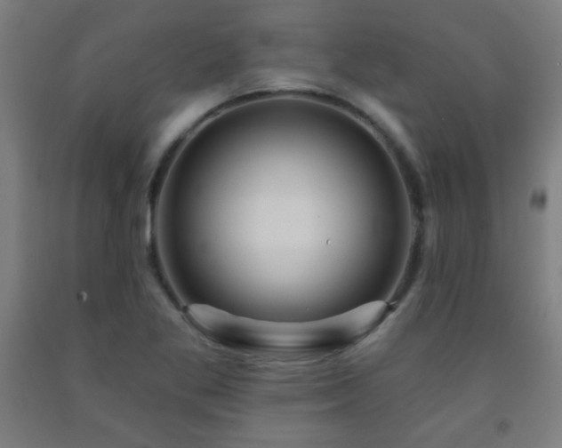 X0000093261269200709261724