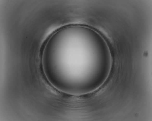 X0000093261270200709261724