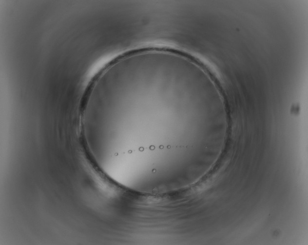 X0000093261271200709261724
