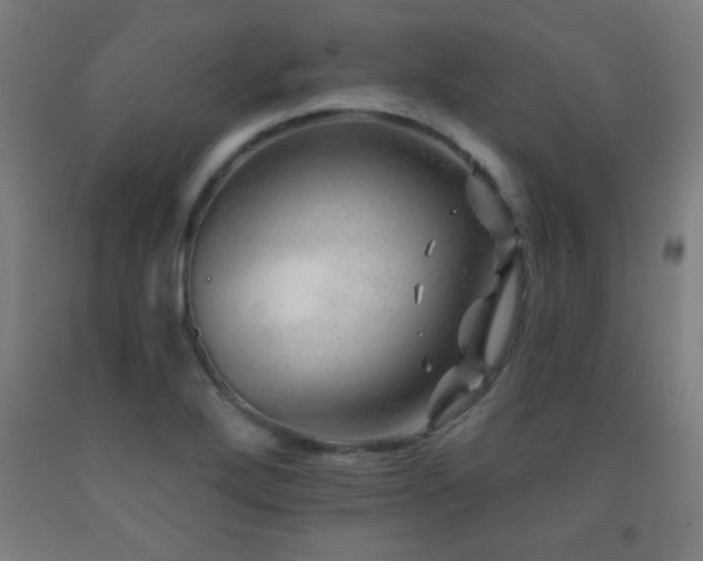 X0000093261272200709261724