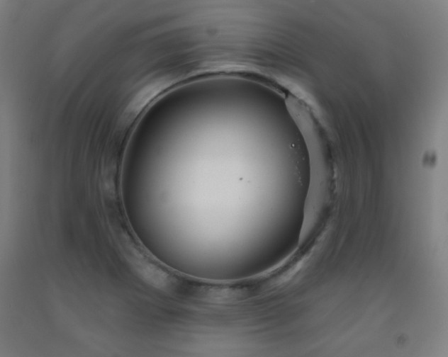 X0000093261273200709261724