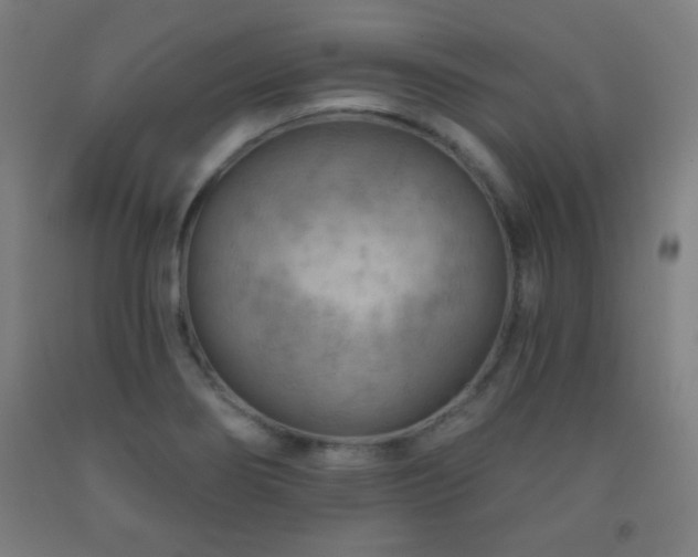X0000093261274200709261724