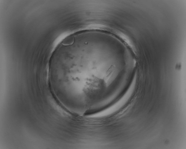 X0000093261275200709261724
