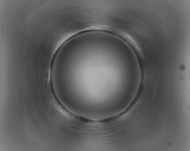 X0000093261276200709261724