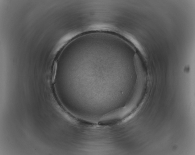 X0000093261277200709261724