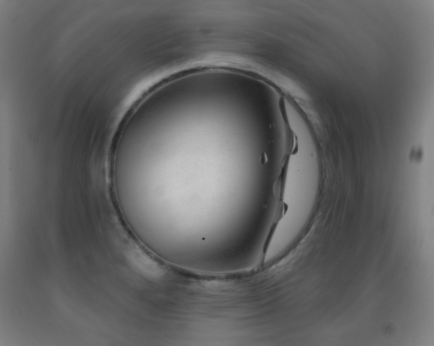 X0000093261280200709261724