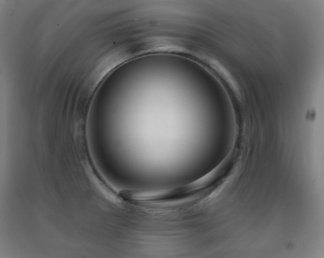 X0000093261281200709261723
