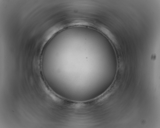 X0000093261282200709261723