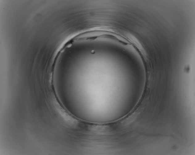 X0000093261284200709261723