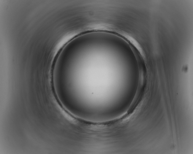 X0000093261285200709261723