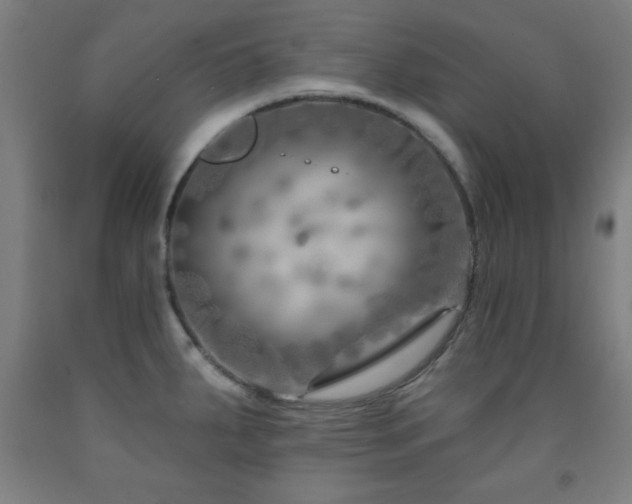 X0000093261287200709261723