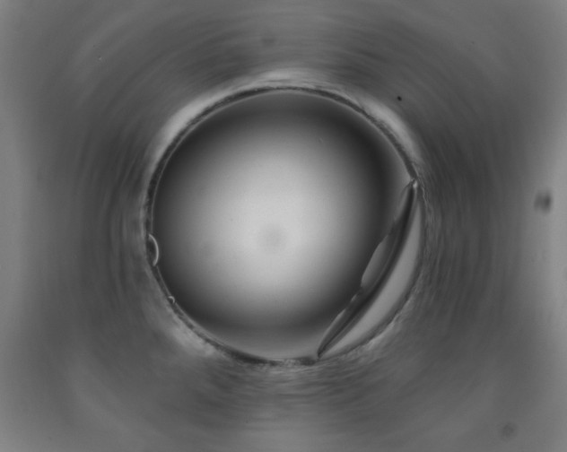 X0000093261288200709261723