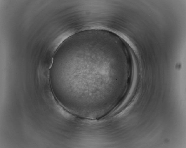 X0000093261289200709261723