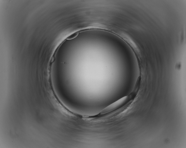 X0000093261292200709261723
