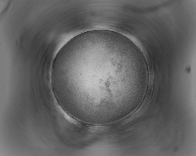 X0000093261294200709261723