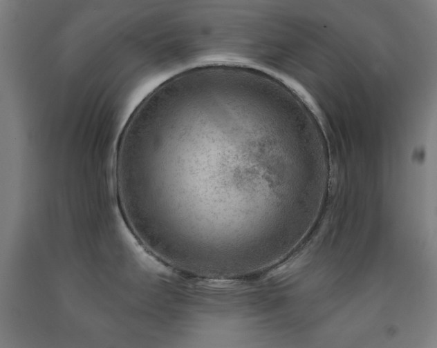 X0000093261295200709261723