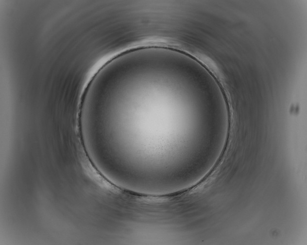 X0000093261296200709261723