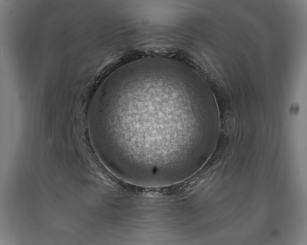 X0000093261297200709261723