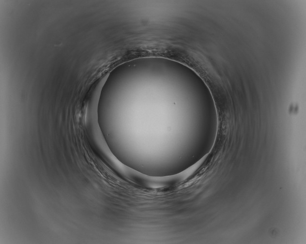 X0000093261298200709261723