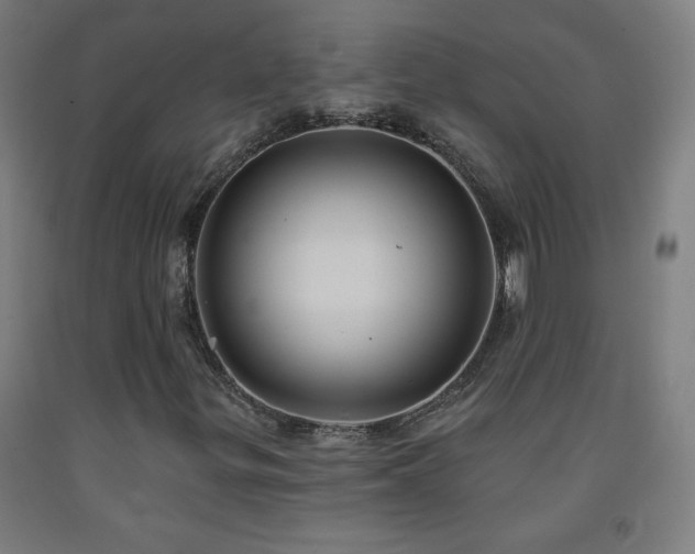 X0000093261299200709261723