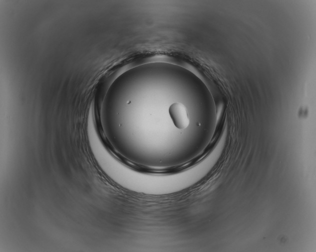 X0000093261300200709261723