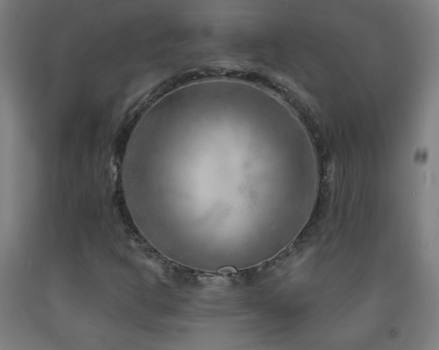 X0000093261302200709261723