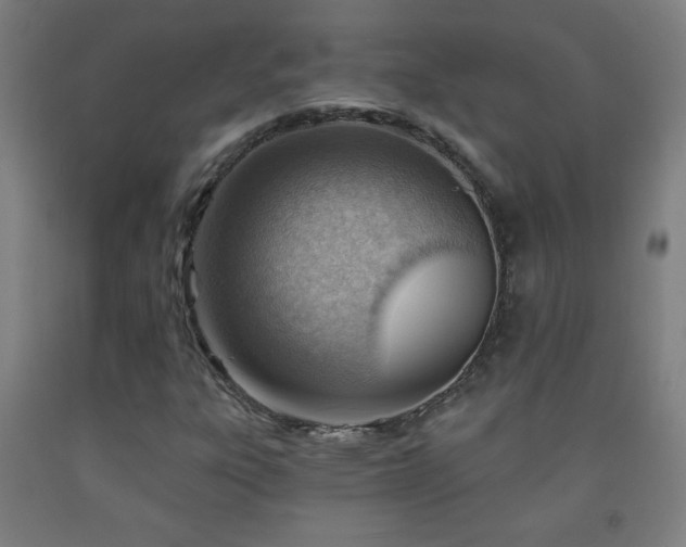 X0000093261303200709261723