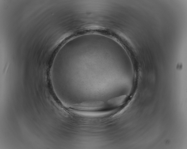 X0000093261305200709261723
