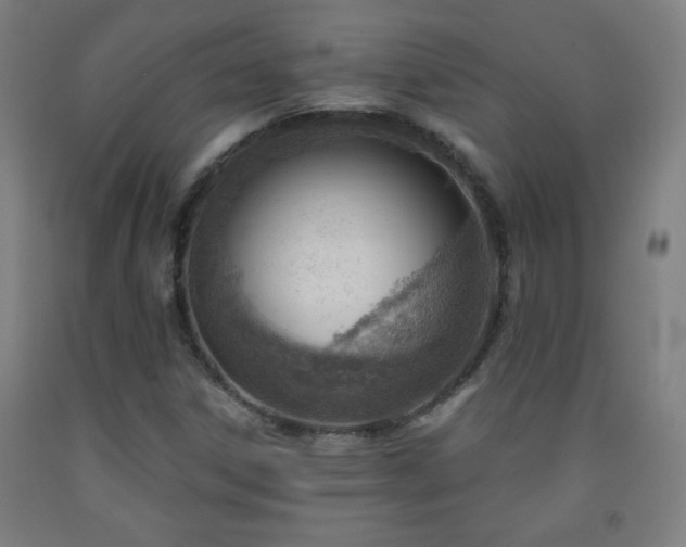 X0000093261306200709261723