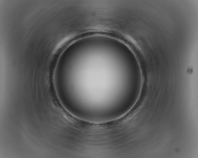 X0000093261307200709261723