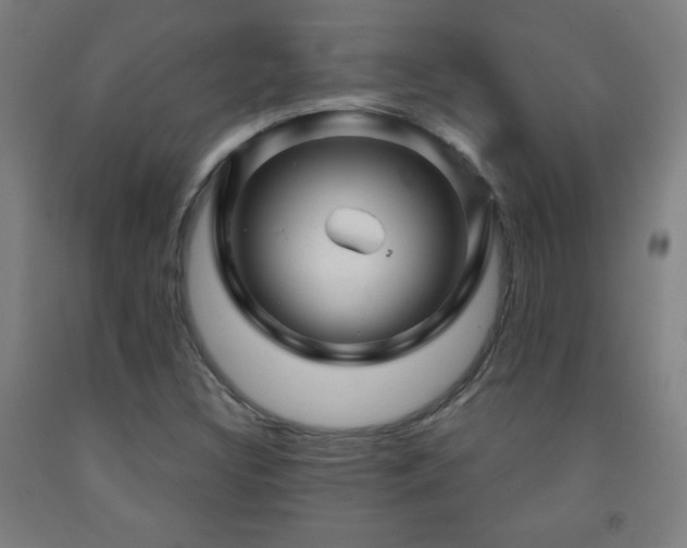 X0000093261308200709261723